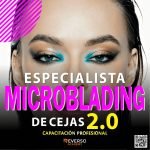 ESPECIALISTA EN MICROBLADING DE CEJAS 2.0